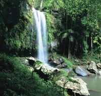 Curtis Falls Joalah Section - Tourism Cairns