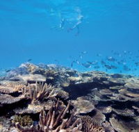 Australian Institute of Marine Science - Tourism Cairns