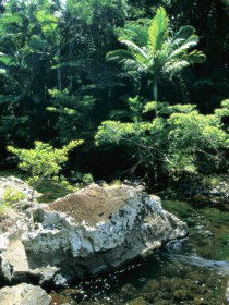  Tourism Cairns