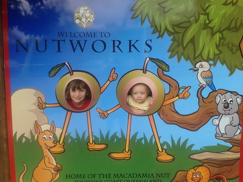 Nutworks - Tourism Cairns 4
