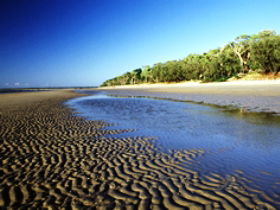 Kinkuna Section - Tourism Cairns 0