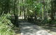 Cornubia Forest Park - thumb 0