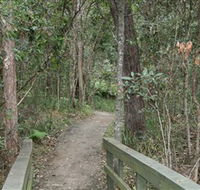 Springwood Conservation Park - Tourism Cairns