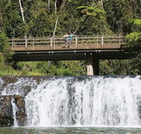Malanda Falls Conservation Park - Tourism Cairns