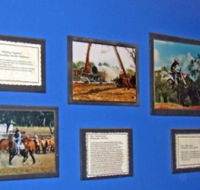 Town Hall Photographic Display - Tourism Cairns