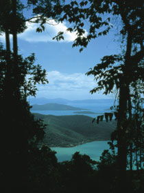 Whitsunday Great Walk - Tourism Cairns 0