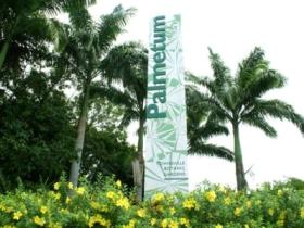 Townsville Palmetum - Tourism Cairns 0