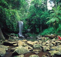 Tamborine National Park - Tourism Cairns