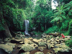 Tamborine National Park - Tourism Cairns 0