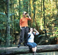 Birdwatching on the Fraser Coast - Tourism Cairns