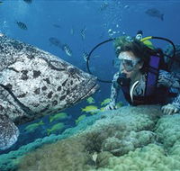 Pelorus Island - Tourism Cairns