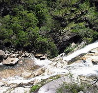 Dinden National Park - Tourism Cairns