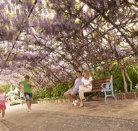 Laurel Bank Park - Tourism Cairns