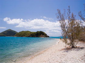 Paddle Bay Track And Campsite - Tourism Cairns 0