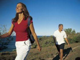 Telegraph Track - Tourism Cairns 0