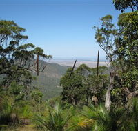 Zamia Walk - Tourism Cairns