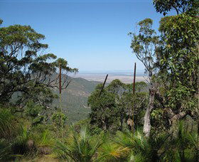 Zamia Walk - Tourism Cairns 0