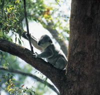 Daisy Hill Conservation Park