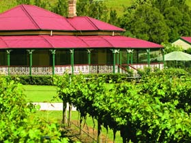 OReillys Canungra Valley Vineyards - Tourism Cairns 0