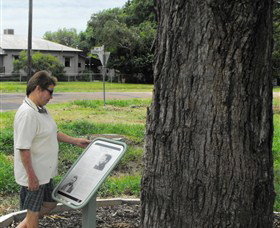 Augathella Kenniff Tree - Tourism Cairns 0