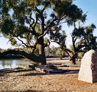 Burke and Wills Dig Tree - Tourism Cairns