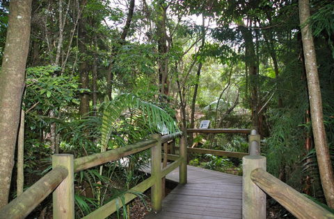 Cedar Creek Estate - Tourism Cairns 1