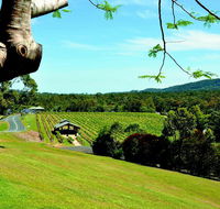 Sirromet Winery - Tourism Cairns