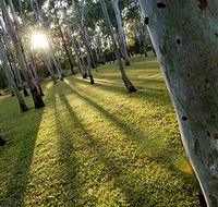 Tondoon Botanic Gardens - Tourism Cairns