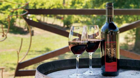 Wild Cattle Creek Estate Winery Restaurant - Tourism Cairns 4