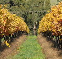 Wild Dog Winery  Restaurant - Tourism Cairns