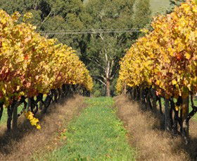 Wild Dog Winery & Restaurant - Tourism Cairns 0