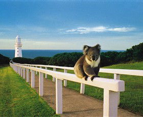 Cape Otway VIC Tourism Cairns