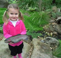 Wild Food Farm  Cafe - Tourism Cairns
