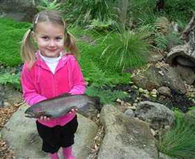 Wild Food Farm & Cafe - Tourism Cairns 0