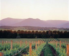 Domaine Chandon - Tourism Cairns 0