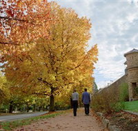 Indigo Gold Trail - Tourism Cairns