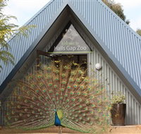 Halls Gap Zoo - Tourism Cairns