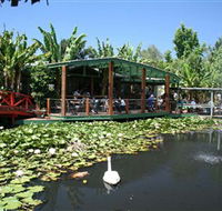 Blue Lotus Water Garden - Tourism Cairns