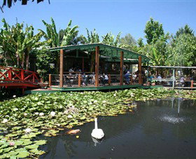 Blue Lotus Water Garden - Tourism Cairns 0