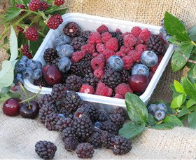 Porepunkah VIC Tourism Cairns