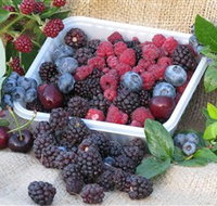 Bright Berry Farms - Tourism Cairns
