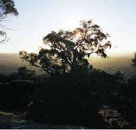 Yarra Flats - Tourism Cairns