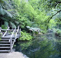 Alfred Nicholas Gardens - Tourism Cairns