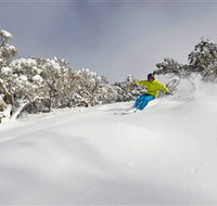Mt Buller and Mt Stirling Alpine Resort - Tourism Cairns