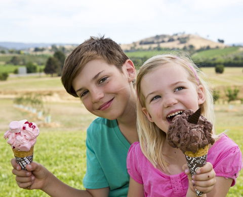 Yarra Valley Chocolaterie & Ice Creamery - Tourism Cairns 6