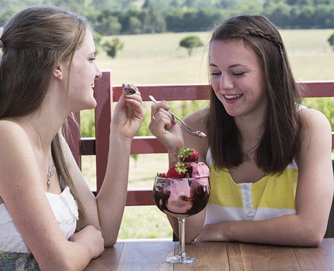 Yarra Valley Chocolaterie & Ice Creamery - Tourism Cairns 8
