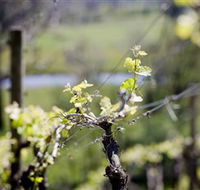 Coldstream Hills - Tourism Cairns
