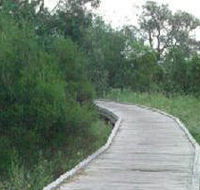 Shepherds Bush - Tourism Cairns