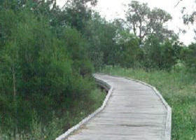 Shepherds Bush - Tourism Cairns 0
