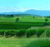 Acacia Ridge Vineyard - Tourism Cairns